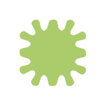 汚れや苔・カビ、劣化した塗料を取り除く